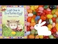 Egg Hunt Adventure Questions