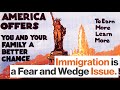Immigration and Identity in the 2016 Election