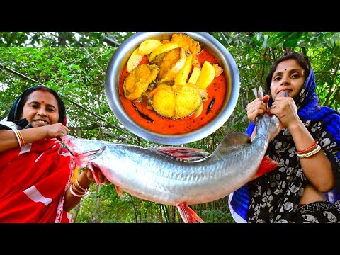 7.5 kg ওজনের পাকা দামোদর নদের আড় মাছের লাল ঝোল রান্না সঙ্গে মাথা ভাজা | Damodor river fish curry