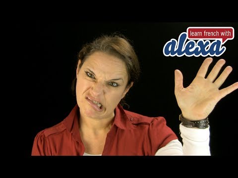 Welcome to the Learn French With Alexa Youtube Channel