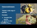 Estuarine Organisms and Adaptations