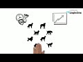 Evolutionary Forces and Genetic Concepts