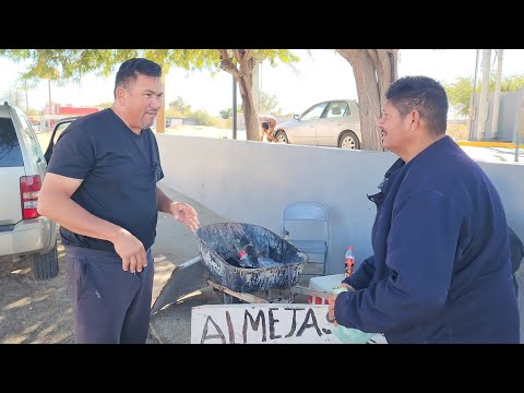 almejas de a peso en el Golfo de Santa Clara