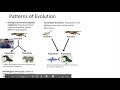 Evolutionary Mechanisms and Concepts