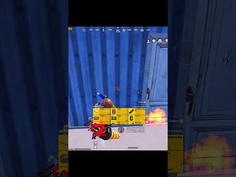Dangerous fight in livik