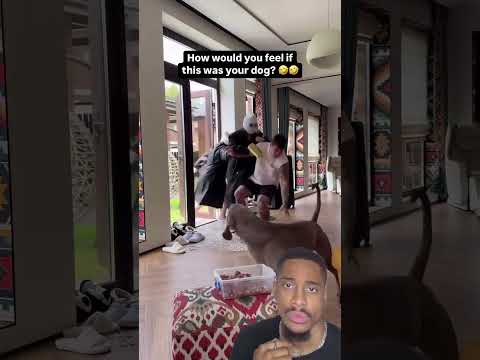 Dog prank failed! 🤣🤣 #dogs #doglover #shorts