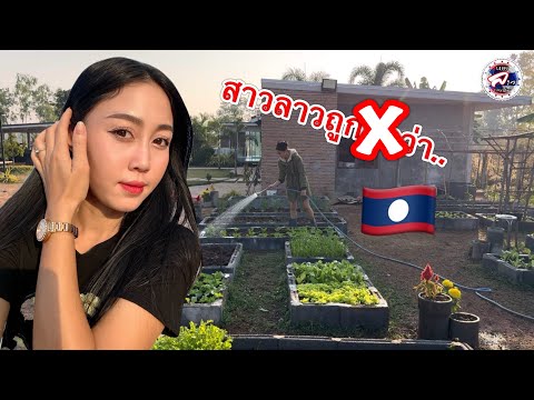 สาวลาวบ่นน้อยใจ...งานนี้ี้หนุ่มไทยรีบปลอบใจl เขยลาว🇹🇭🩷🇱🇦