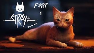 Stray - part 1