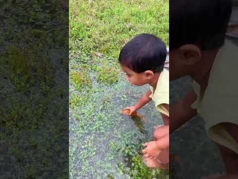 Amazing village fishing #best_fishing #fish