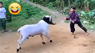 Best FUNNY Videos 2025 😂😁 1 Hours Funny Moments Of The Year Compilation P14