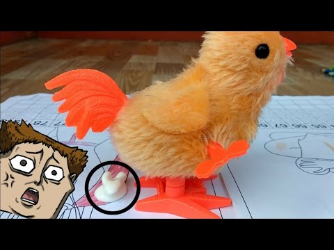 DRAMA mainan anak ayam BERAK di buku mewarnai