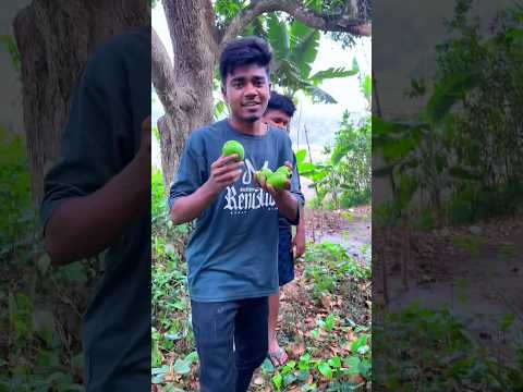গাছ থেকে আম কুরালাম। Bangla mini vloge। #shortsfeed #minivlog #dallyblog