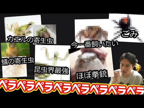 生き物大好きおじさん、口が止まらない【2025/07/19】