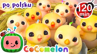 Co w buzi masz? | CoComelon po polsku 🍉🎶 Piosenki dla dzieci