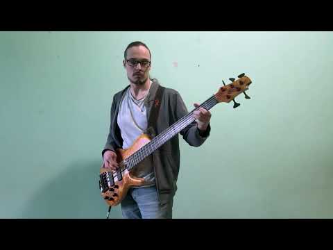 Megadeth Dawn Patrol (Bass & Vocal Cover)