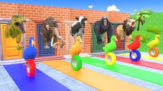 5 Ducks Tire Game Animation With Funny 3d Animals Mammoth Elephant T-rex Cow Lion