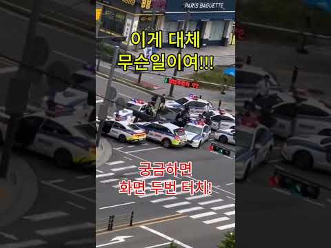 뭔데!! 대낮에 먼일이여
