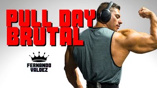 Rutina PULL completa ‼️ ( espalda, biceps, hombro)