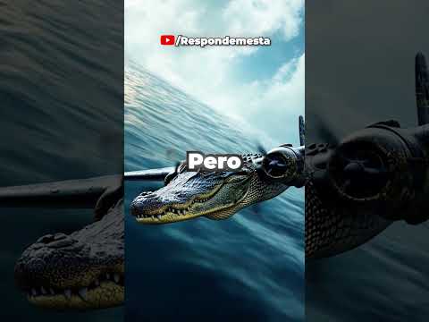 ¿Quién Fue El Culpable: Tung Tung Tung Sahur o Tralalero Tralala? 😭