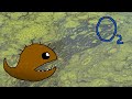Understanding Eutrophication