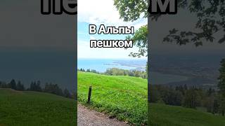 ПЕШКОМ в Альпы вместо фуникулёра! 😅 #shorts #альпы #австрия