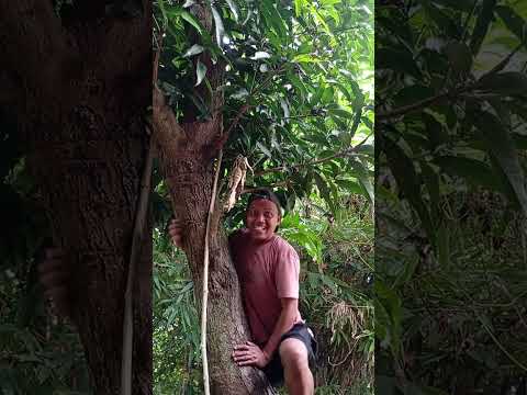 video lucu bikin ngakak hiburan warga+62 #funny #vidoelucu #lucu