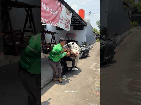 Penumpang motor digigit can macanan