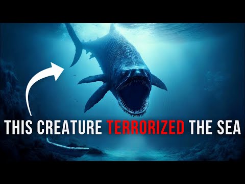 What Happened In The Devonian " TERROR"  Period?