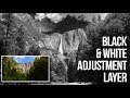 Transforming Color Photos to Black and White