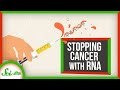 Understanding RNA Cancer Vaccines