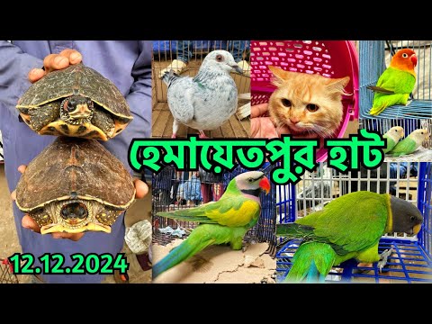 হাটে ছিল নিষিদ্ধ কচ্ছপ | হেমায়েতপুর হাট | খাজনা মুক্ত হাট | বৃহস্পতিবার | Hemayetpur Pet Market #737