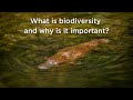 Understanding Biodiversity