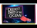 Exploring the Mariana Trench