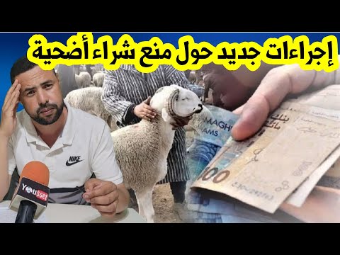 هذه إجراءات جديدة حول عيد الأضحى وبيع المواشي