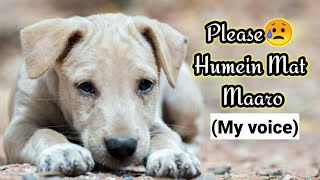 "Humein mat maaro" voice by me