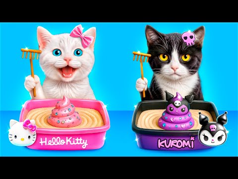 We Build a Tiny House for Hello Kitty and Kuromi!