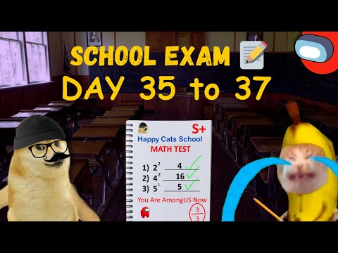 Banana Cat in School Exam ( DAY 35 to 37 ) #bananacat #elgato