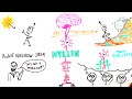 Myelin and Nervous System Functions