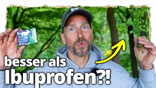 Besser als Ibuprofen? Diese Heilpflanze ist einfach STARK!
