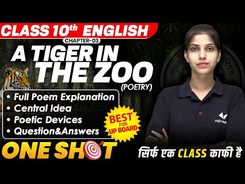 Class 10th English Chapter 3 UP Board | A Tiger In The Zoo Explanation And Central Idea One Shot