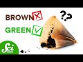 Composting Process and Benefits
