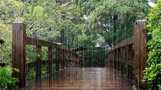 Rain Sounds on a Wooden Bridge – Calming Nature Sounds for Deep Sleep, Healing, Meditation ASMR