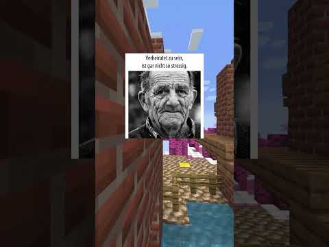 Memes part 211 #memes #shorts  #lustig #minecraft