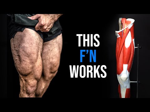 The PERFECT LEG WORKOUT (The Science LIES!)