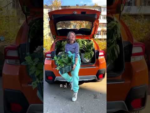 СДЕЛАЛИ ДОМА ОРАНЖЕРЕЮ НА КРЫШЕ