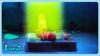 Larva - UFO 👽 | Funny Cartoons for Kids | WildBrain Bananas