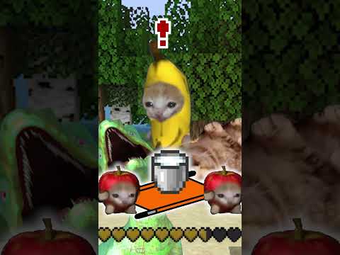 엔딩 어떤가요? 😆🍌👍