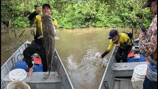 Amigos de la Pesca cap 41: Volvieron los peces monstruo! Pesca en el Casanare con papá (PARTE 1)