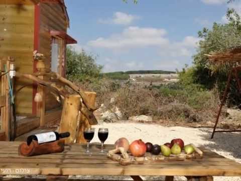 לחצו לצפייה בסרטוון וידאו על המקום