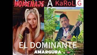 El Dominante De La Bachata - Amargura (Homenaje A Karol G)